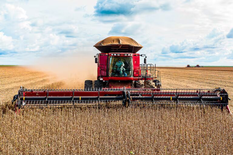 Exportación de soja se reduce – ABC Rural