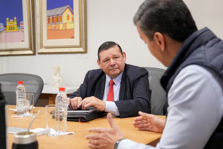 Senadora apunta que “algo no cuadra” en cifras de Peña sobre títulos del Indert