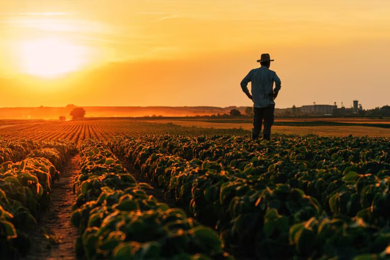 Cooperativismo es un importante motor de la producción y exportación, destaca gremio – ABC Rural