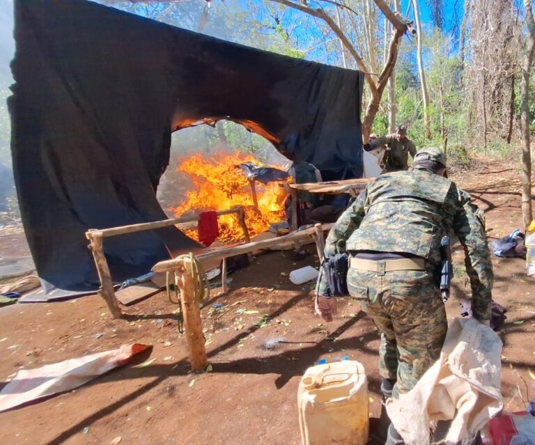 Destruyen más de 3.200 kilos de marihuana y campamentos en Pedro Juan Caballero