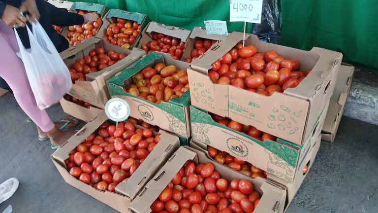 Feria Ary Paha de la Agricultura Familiar se desarrolla hoy en Asunción
