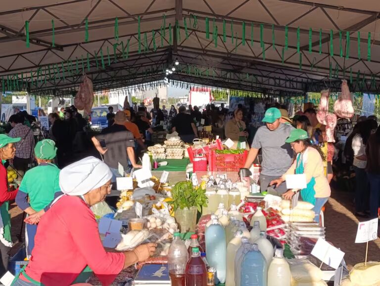 Feria de la Agricultura Familiar sigue hoy en la Costanera con variedad de productos