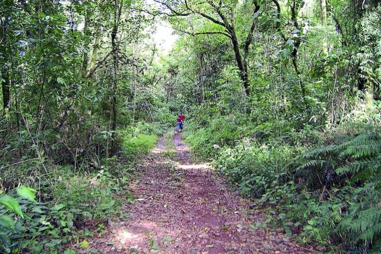 Santiago Peña reglamenta régimen de jubilación de guardaparques