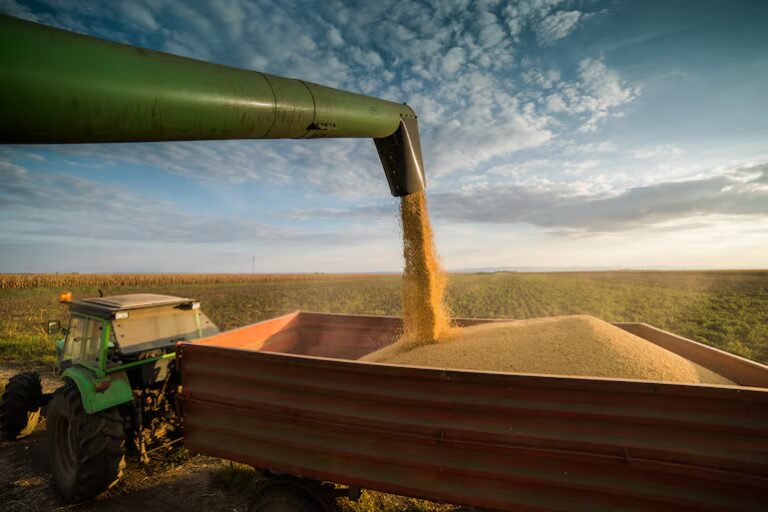 Caja fiscal: sojeros advierten que suba de impuestos desatará aumento en canasta básica