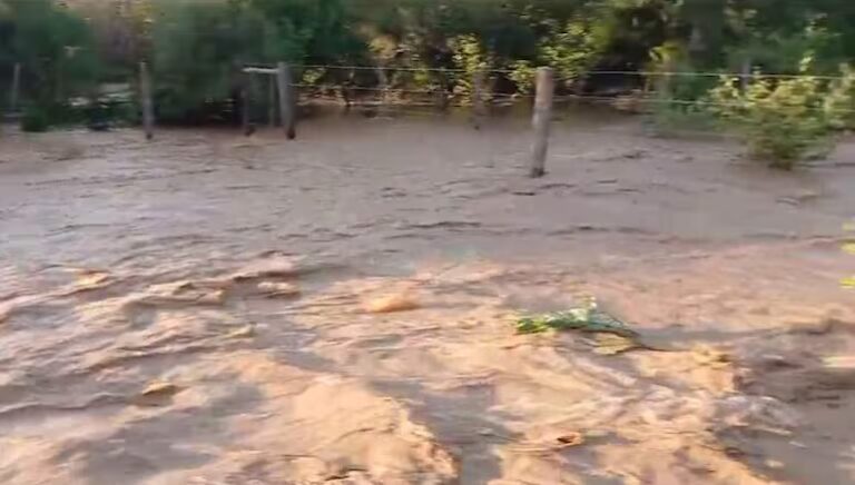 Desborde del río Pilcomayo: envían asistencia y niegan ruptura de muro en Pozo Hondo