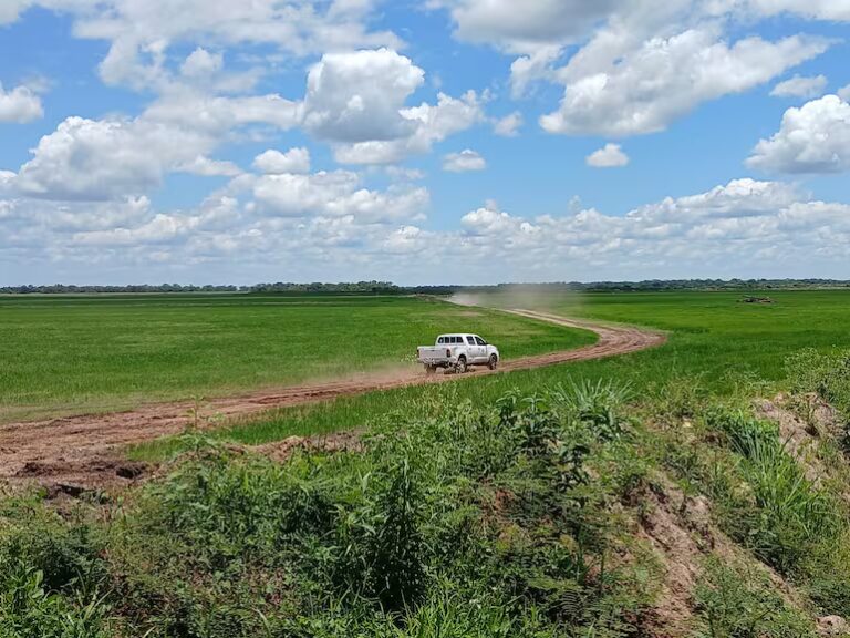 Fiscalía investiga presunto daño ambiental en arrozal de Borja tras denuncia por desvío de arroyo