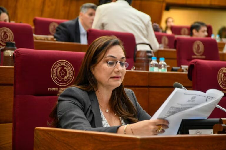 Honor Colorado: Esgaib habla del futuro de la bancada sin Rocío Abed al frente