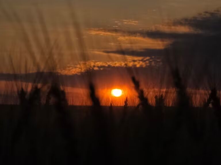 Meteorología: temperatura en aumento antes de nuevos días de lluvia en Paraguay