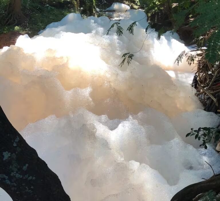 Municipalidad y Mades intervienen tras viralización de imágenes de espuma en el arroyo Acaraymi