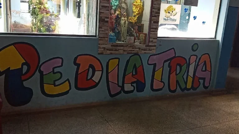 Niño de 2 años es mordido por una serpiente yarará mientras jugaba en Bella Vista Norte