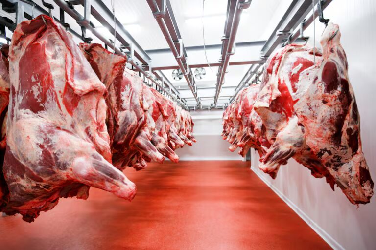 Proyectan menor dinamismo en el comercio mundial de carnes en 2026