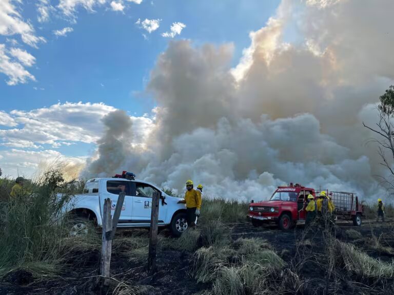 Reportan varios incendios de pastizales en Concepción