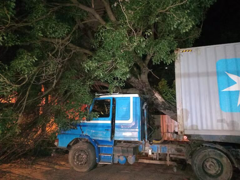 San Lorenzo: camión de gran porte provocó caída de árbol y cables de la ANDE