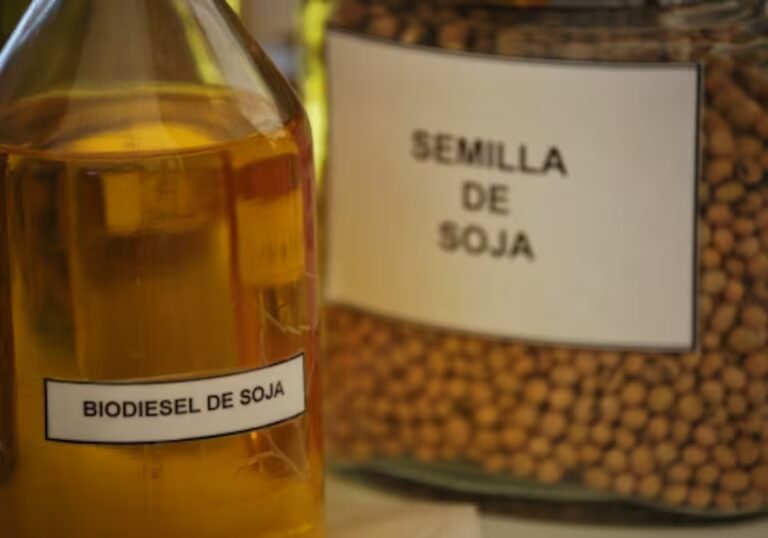 UE-Mercosur: Establecen medidas contra el aceite de soja – ABC Rural