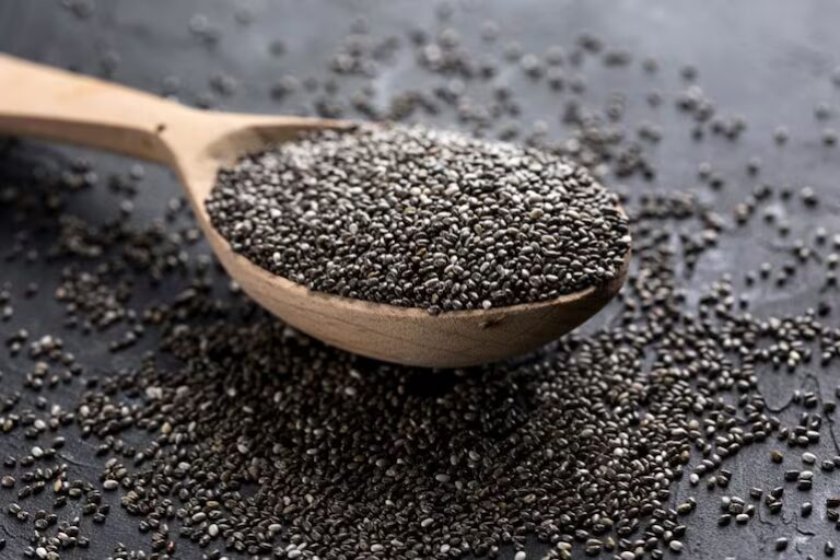 Acuerdo UE- Mercosur: así es el comercio con Europa