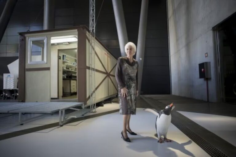 Muere Josefina Castelví, pionera de la investigación antártica, a los 90 años | Ciencia