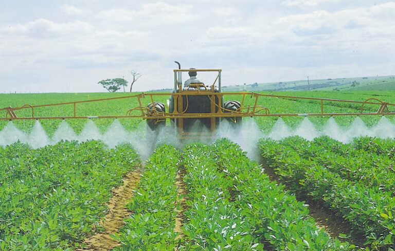 Temen productores locales las secuelas de la decisión