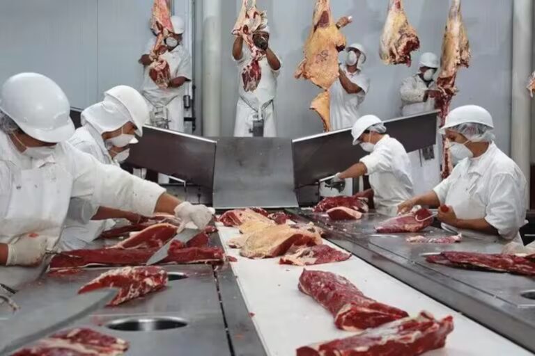Canadá entra al top 5 de destinos de la carne paraguaya en un trimestre de menor exportación – ABC Rural