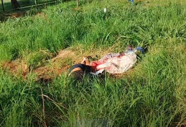 Hallan cadáver maniatado y con signos de tortura en Pedro Juan Caballero