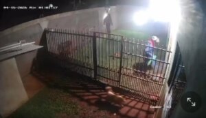 Tres sujetos armados con cascos irrumpen en una vivienda mientras la dueña descansaba