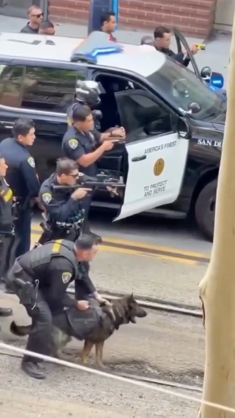 Un perro policía participa en un arresto en San Diego