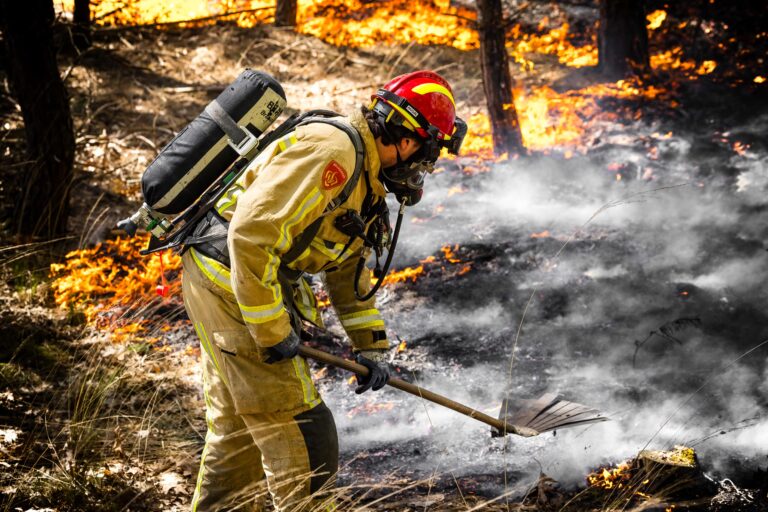 160 millones de hectáreas fueron quemadas por las temperaturas extremas del mar: 2026 se considera el año más caluroso.