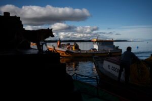 La industria salmonera chilena tiene una alta tasa de mortalidad entre los trabajadores Future America