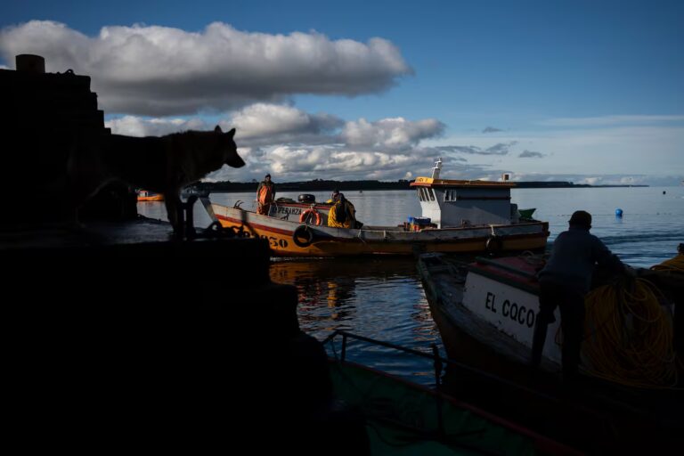 La industria salmonera chilena tiene una alta tasa de mortalidad entre los trabajadores Future America