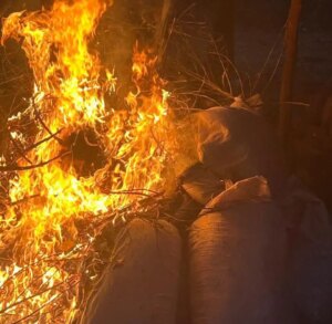 Destruyen 2.600 kilos de marihuana picada en Capitán Bado