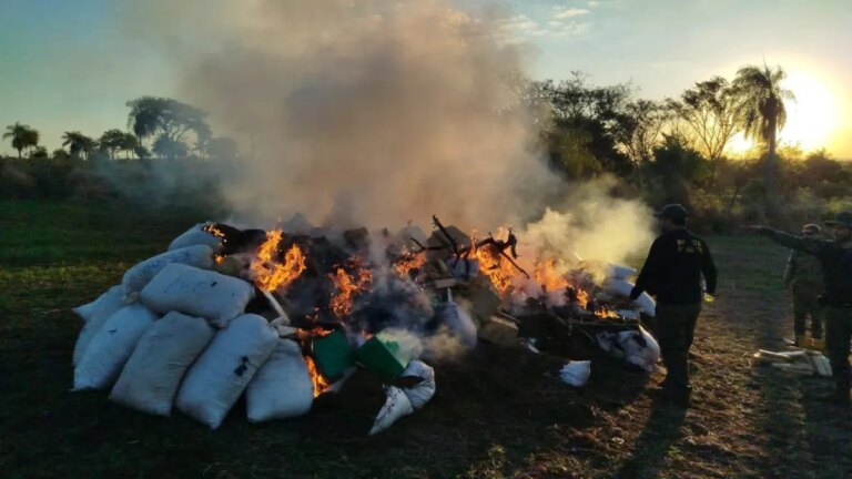 Destruyen más de seis mil kilos de marihuana tras un allanamiento en Pedro Juan Caballero