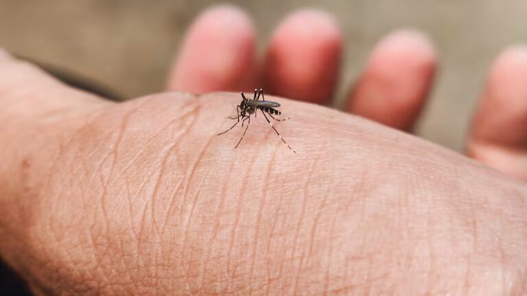 Salud reporta nuevos casos de dengue y advierte incremento de notificaciones en varios departamentos