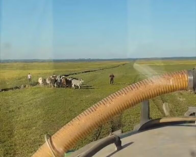 Agricultor amenaza con “hacer justicia por mano propia” tras denunciar invasiones y falta de respuesta de autoridades