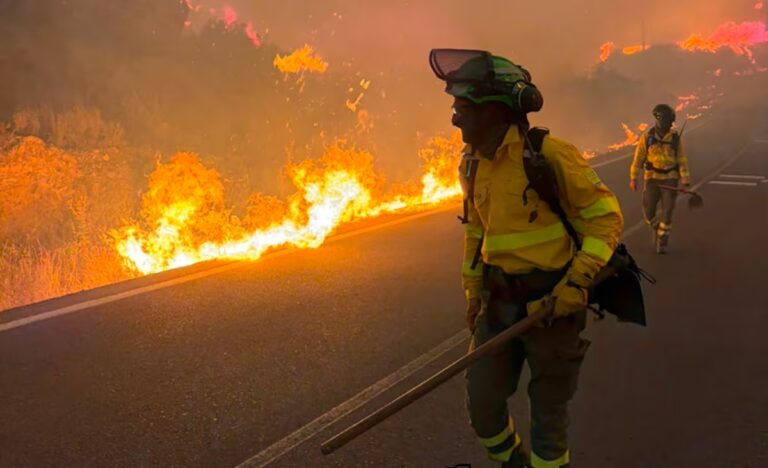 Al menos 12 personas han muerto en el incendio de Los Gallardos, en Almería, el mayor número de muertos registrado en Andalucía | España