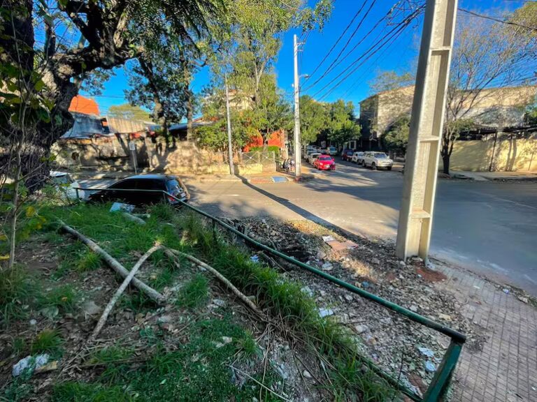 Asunción: parque Carlos Antonio López en abandono con Bello