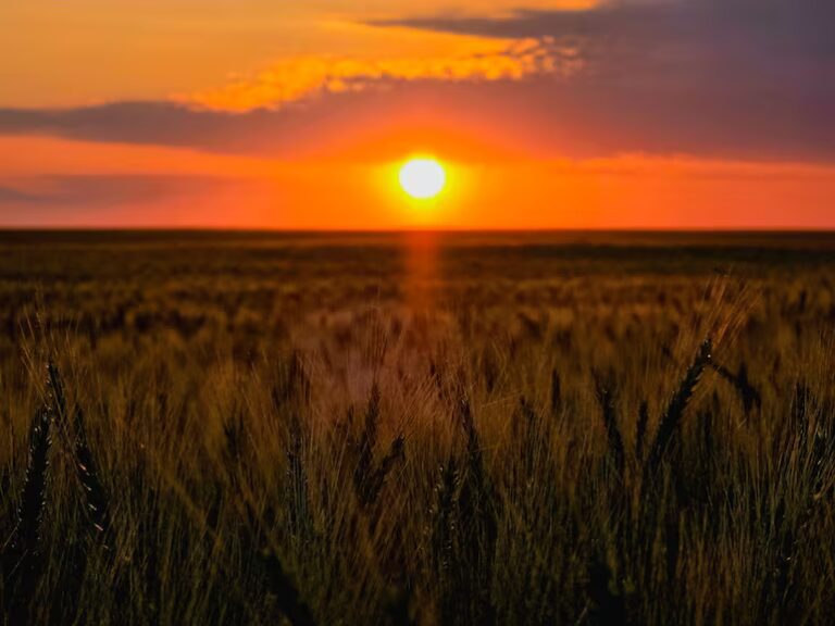 Clima en Paraguay: Pronóstico de calor y alerta por vientos