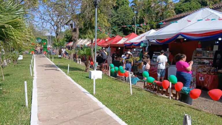 Habilitan la Expo Frutilla con variadas opciones