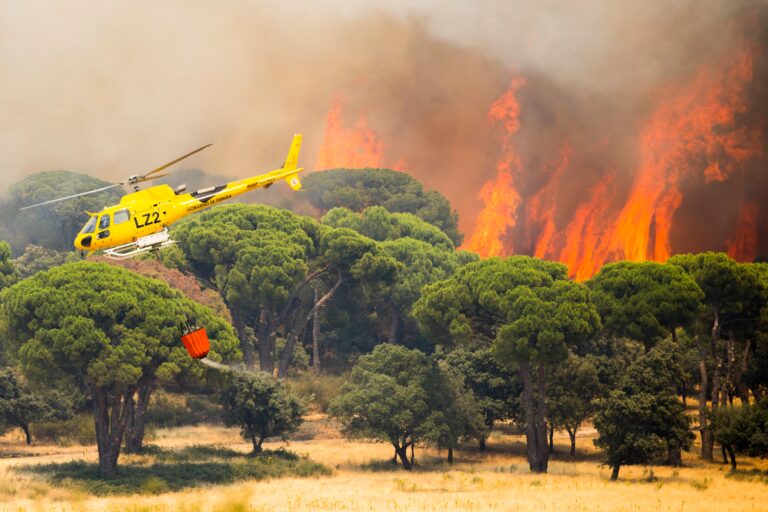 Incendio forestal – 26 de julio de 2026 | Marlaska: «Estamos ante el incendio más importante y peligroso de la historia de España»