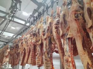 Peña: Paraguay no se quedará mirando en el reparto de las cuotas del Mercosur-UE – ABC Rural