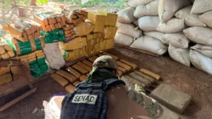 Senad destruye más de 20 toneladas de marihuana en Bella Vista Norte