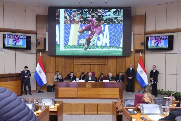 Senado: video de la sesión sigue disponible pese al bloqueo de YouTube