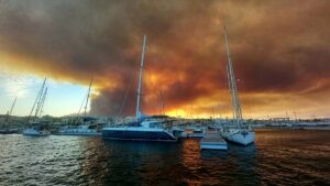 Últimas noticias sobre el incendio forestal de Los Gallardos (Almería), en directo | Al menos 12 muertos y 23 desaparecidos en el incendio más mortífero registrado en Andalucía España